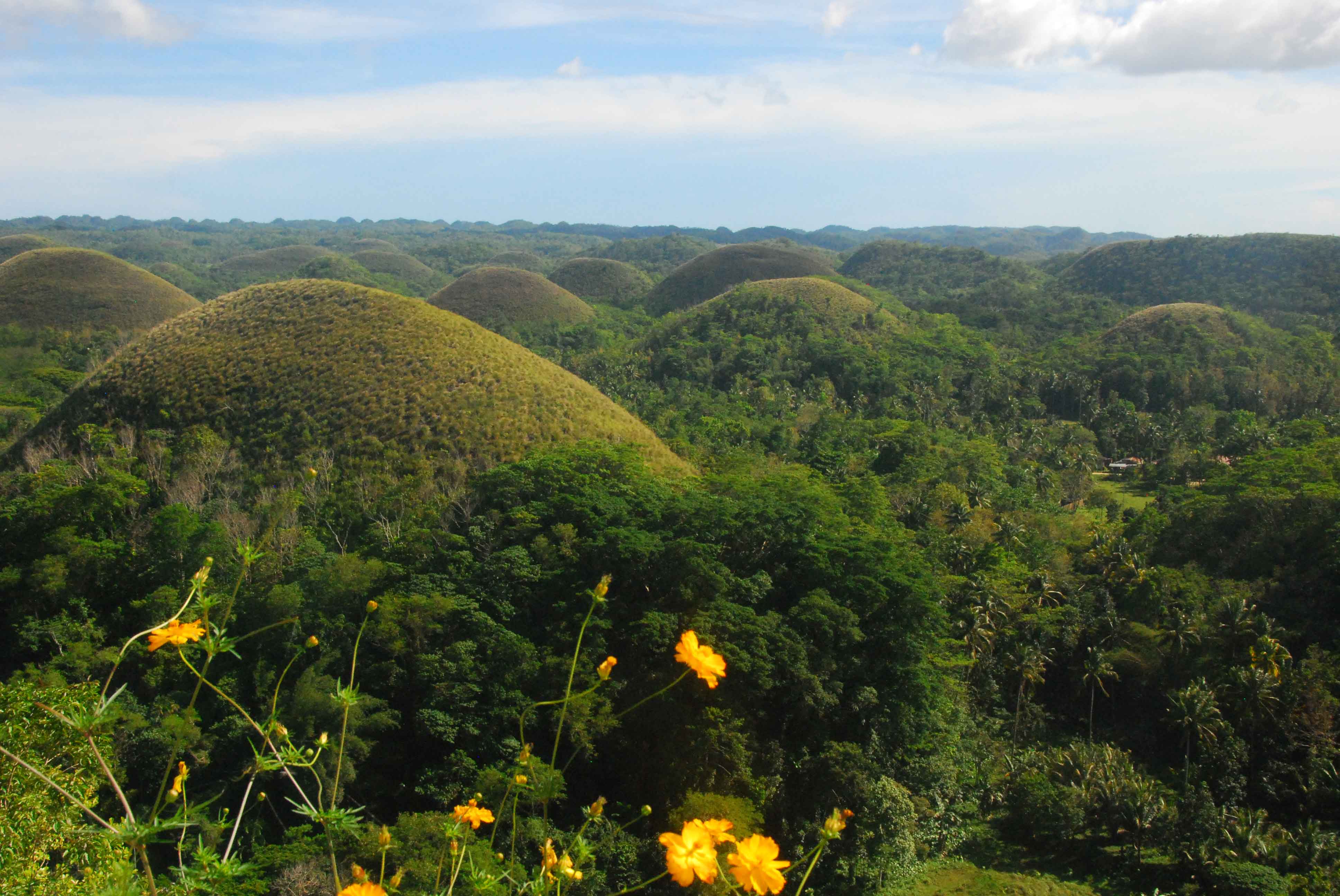Czekoladowe wzgórza na Filipinach Czekoladowe wzgórza na Filipinach