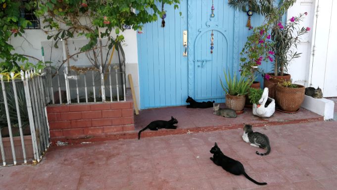 Charakterystyczne wejście do starego domu w Muskacie Charakterystyczne wejście do starego domu w Muskacie